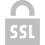 ssl icon